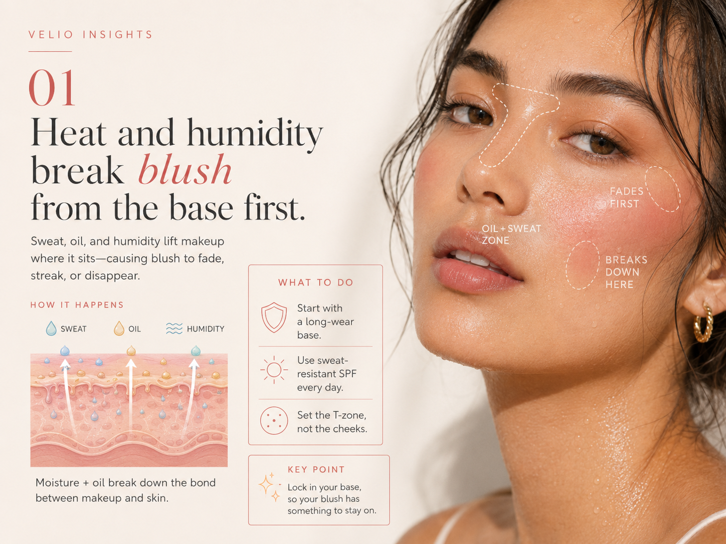 Visual map showing how sweat, oil, heat, and humidity can break blush from the base first.