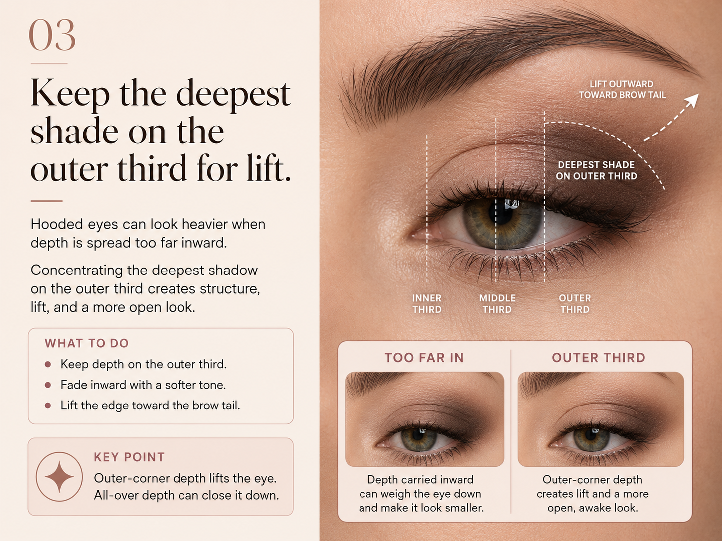 Eye makeup placement guide showing the deepest shade concentrated on the outer third for lift.
